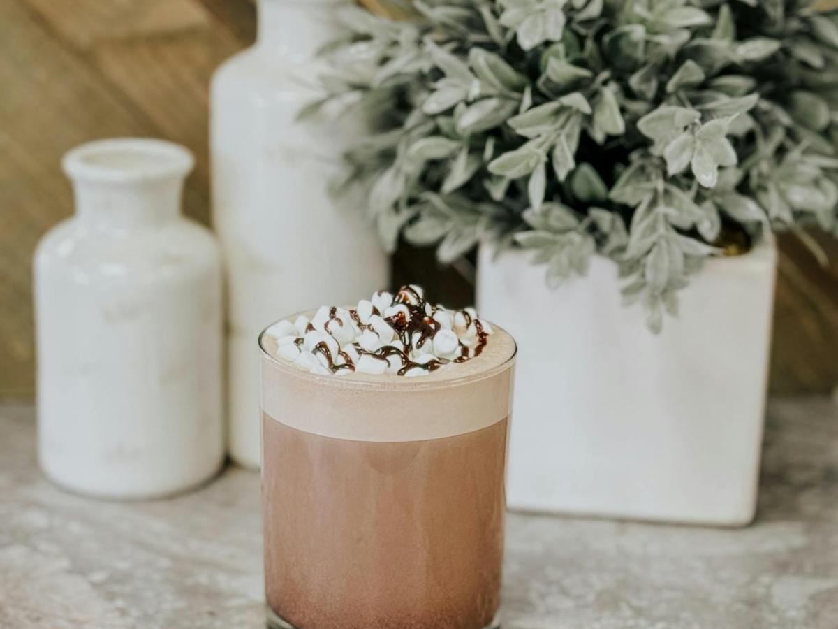 Chocolate Lactation Smoothie
